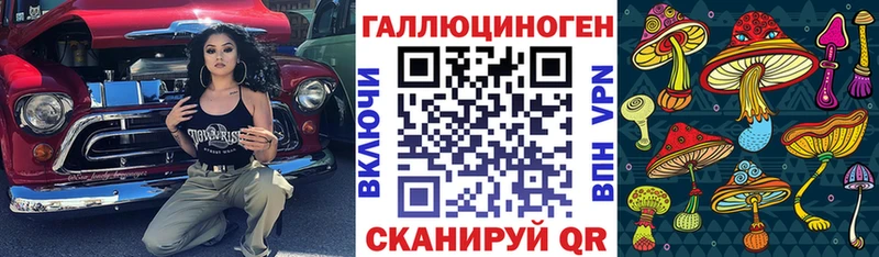 даркнет сайт  Железногорск-Илимский  МЕГА ONION  Галлюциногенные грибы Psilocybine cubensis 