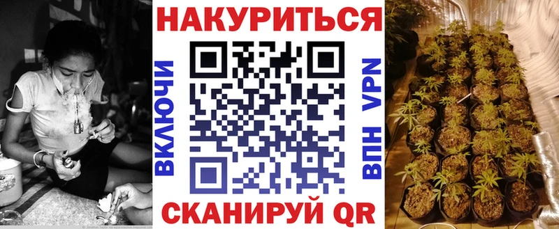 Каннабис сатива  Железногорск-Илимский 